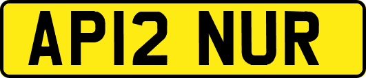 AP12NUR