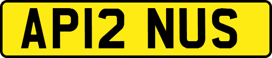 AP12NUS