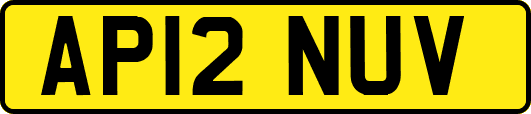 AP12NUV