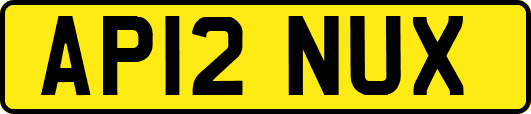AP12NUX