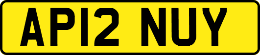 AP12NUY