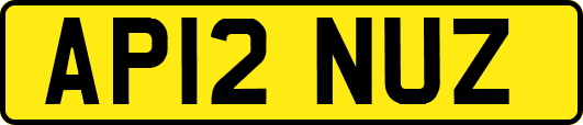 AP12NUZ