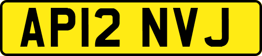 AP12NVJ