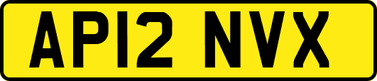 AP12NVX