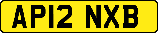 AP12NXB