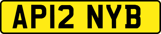 AP12NYB