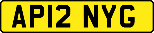AP12NYG