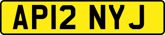 AP12NYJ