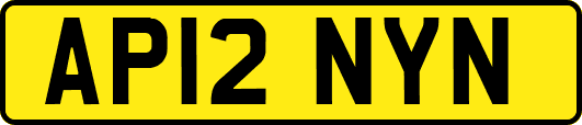 AP12NYN