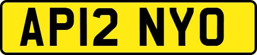 AP12NYO