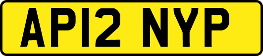 AP12NYP