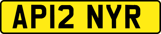 AP12NYR
