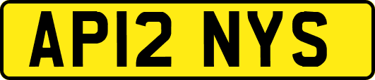 AP12NYS