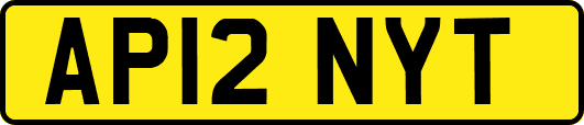 AP12NYT