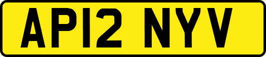 AP12NYV