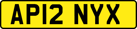 AP12NYX