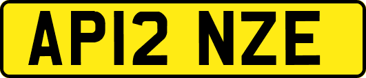 AP12NZE