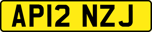 AP12NZJ