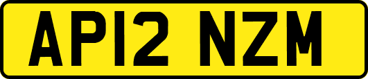 AP12NZM