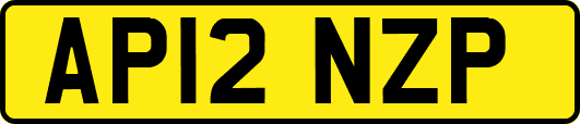 AP12NZP