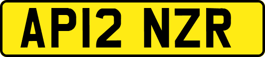AP12NZR