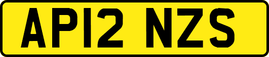AP12NZS