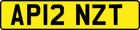 AP12NZT