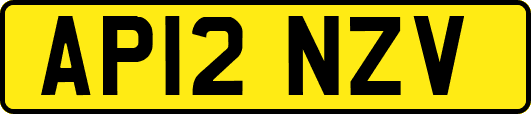 AP12NZV