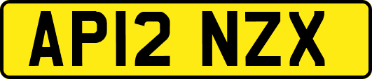 AP12NZX