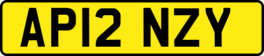 AP12NZY