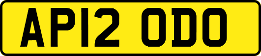 AP12ODO