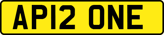 AP12ONE