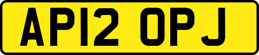 AP12OPJ