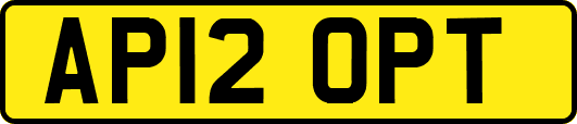 AP12OPT