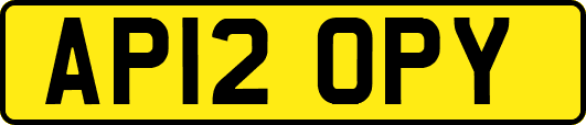 AP12OPY