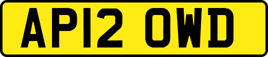 AP12OWD