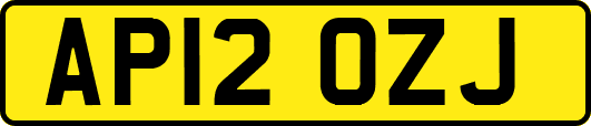 AP12OZJ
