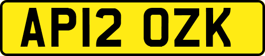 AP12OZK