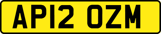 AP12OZM