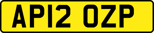 AP12OZP