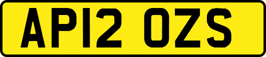AP12OZS
