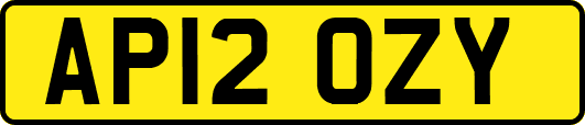 AP12OZY
