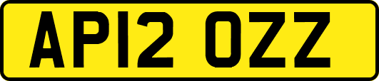 AP12OZZ