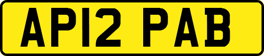 AP12PAB