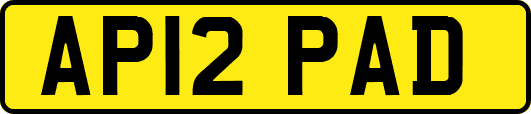 AP12PAD