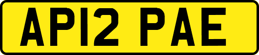 AP12PAE