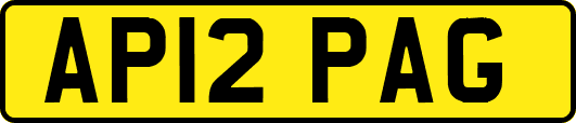 AP12PAG