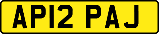 AP12PAJ