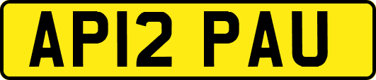 AP12PAU