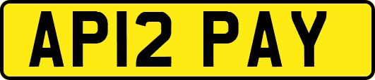 AP12PAY